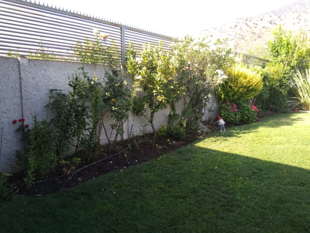 WhatsApp Image 2019-02-21 at 21.06.57.jpeg